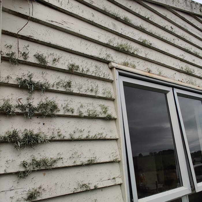 Farm repairs