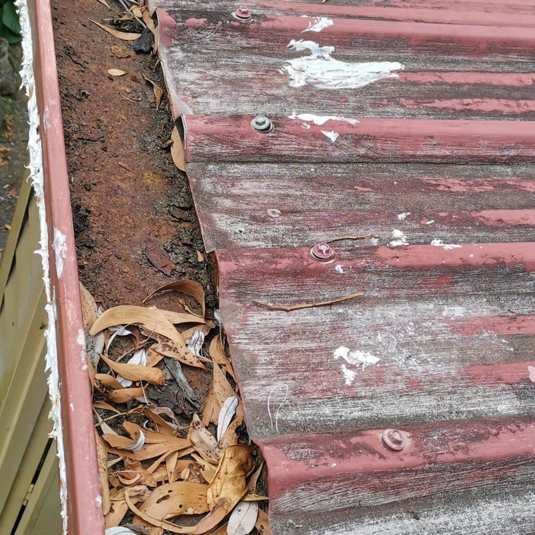 Gutter filled with debris