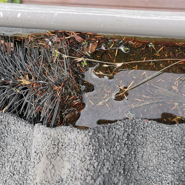 Gutter guard not helping