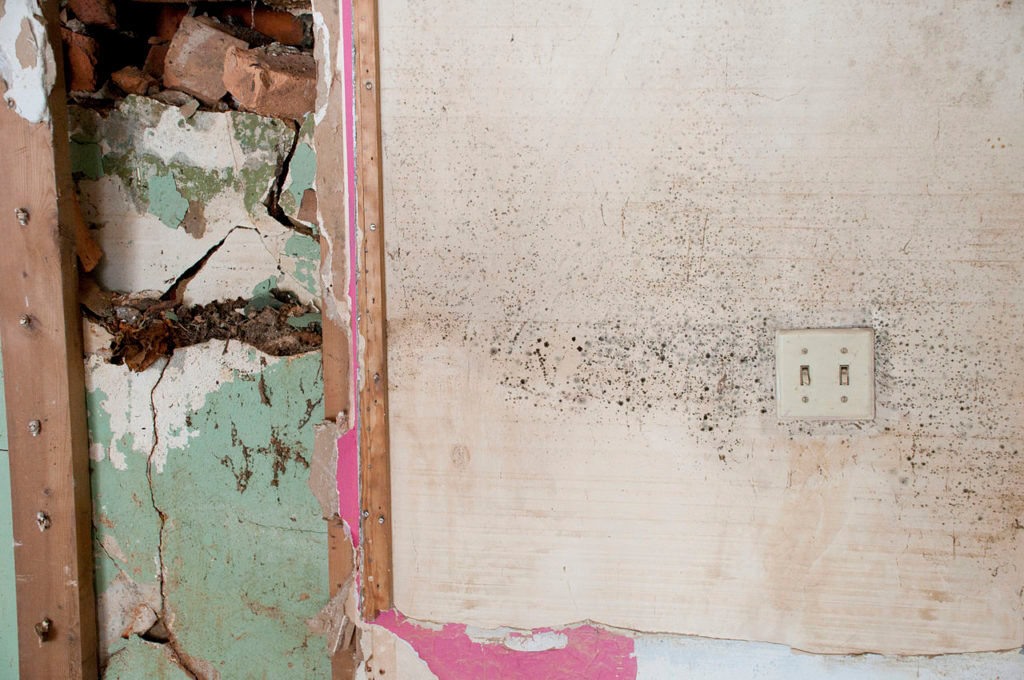 Mould damage behind an interior wall lining