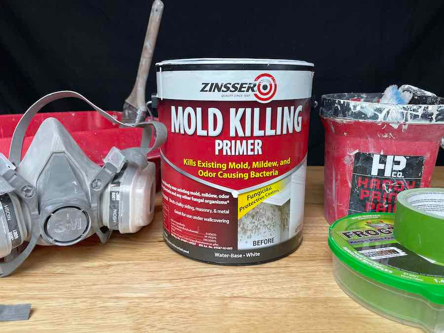 Treating a mould-affected surface