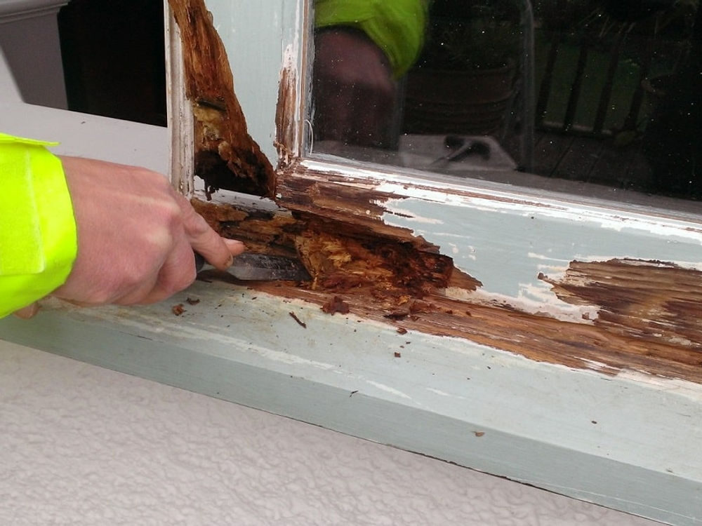 Timber rot