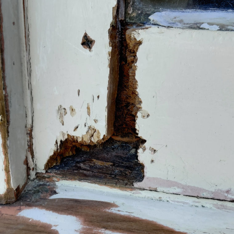 Timber rot before
