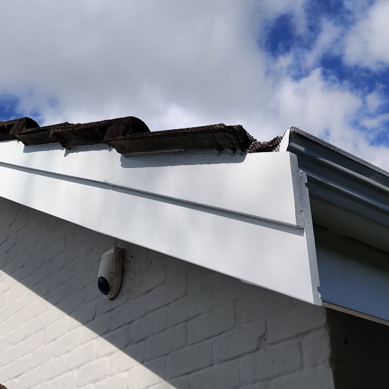 Timber rot repair